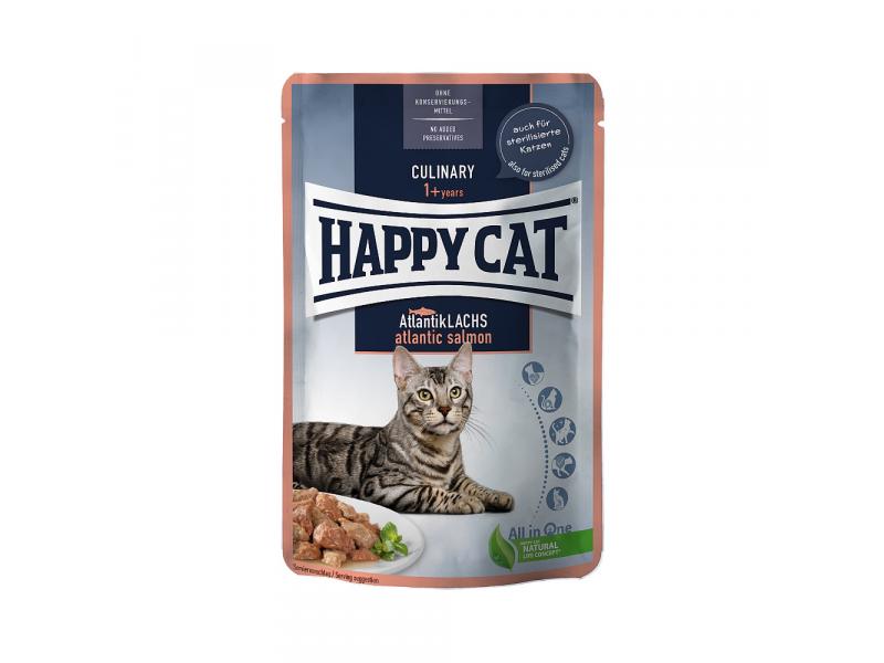 Happy cat kaps.