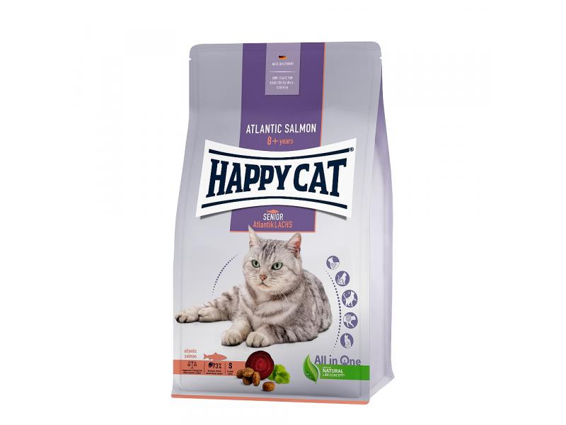 Happy cat senior