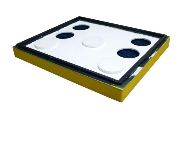 Medzikus maľovaný, Tatran B / Tatran 1/2B